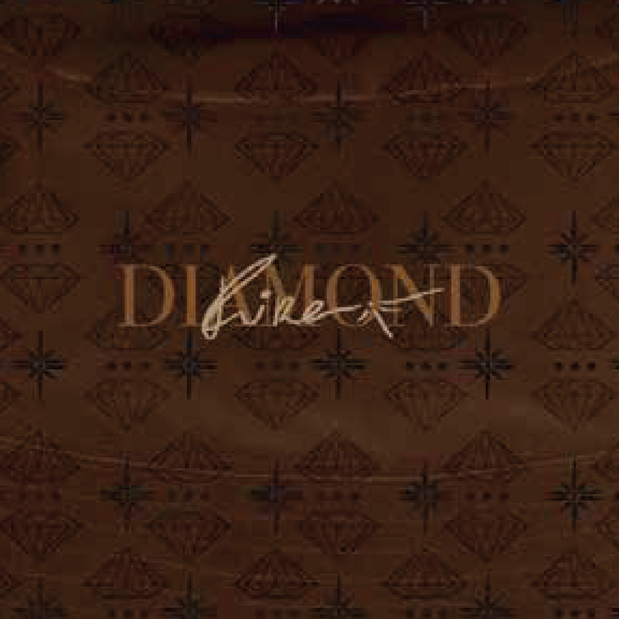 Bucket Dmnd x Fire